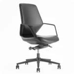 Sierra Executive Guest Meeting Chair